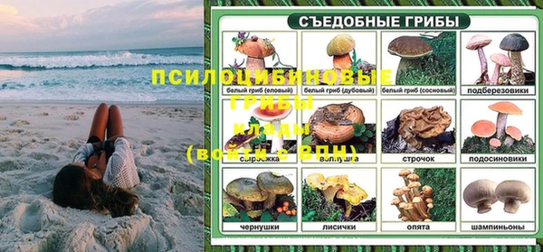 СК Горняк