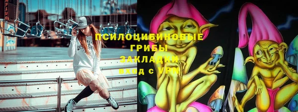 СК Горняк
