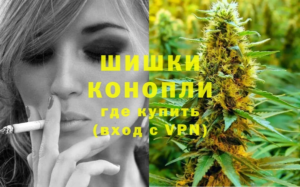 СК Горняк