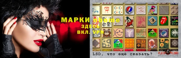 мяу мяу мука Горно-Алтайск