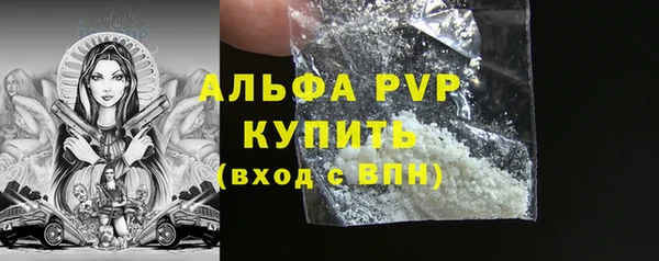 мяу мяу мука Горно-Алтайск