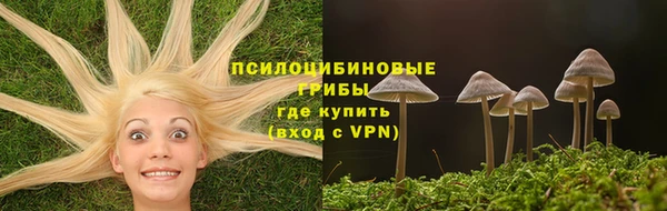 СК Горняк